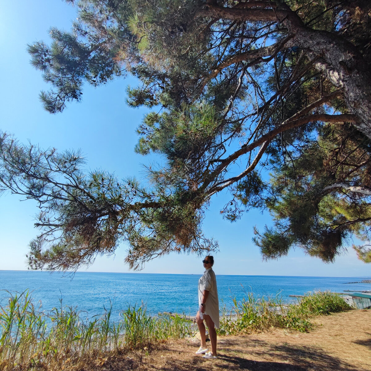 Головинка. Сочи