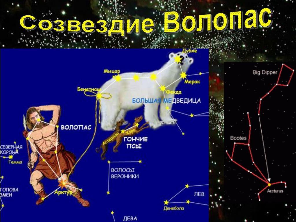 Созвездие для паладина сириус. Волопас Созвездие самая яркая звезда. Созвездие Волопас Альфа звезда. Арктур Волопас. Созвездие Волопас и большая Медведица.