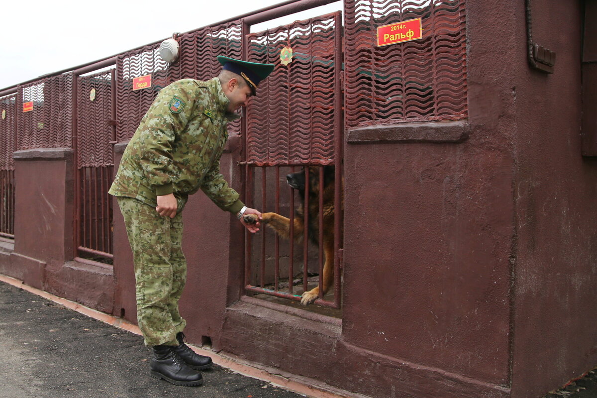 Руслан Альхименок со служебной собакой