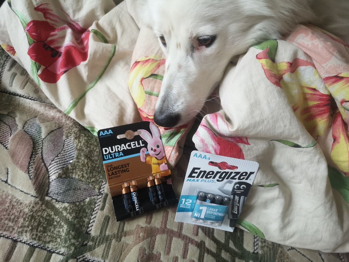 Юся: Эх, мать, как же тебе не стыдно!