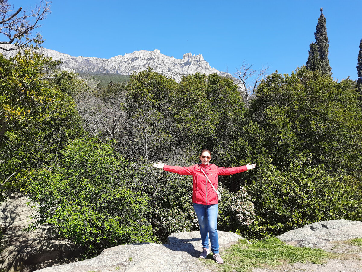 Вид на Ай-Петри из Воронцовского парка