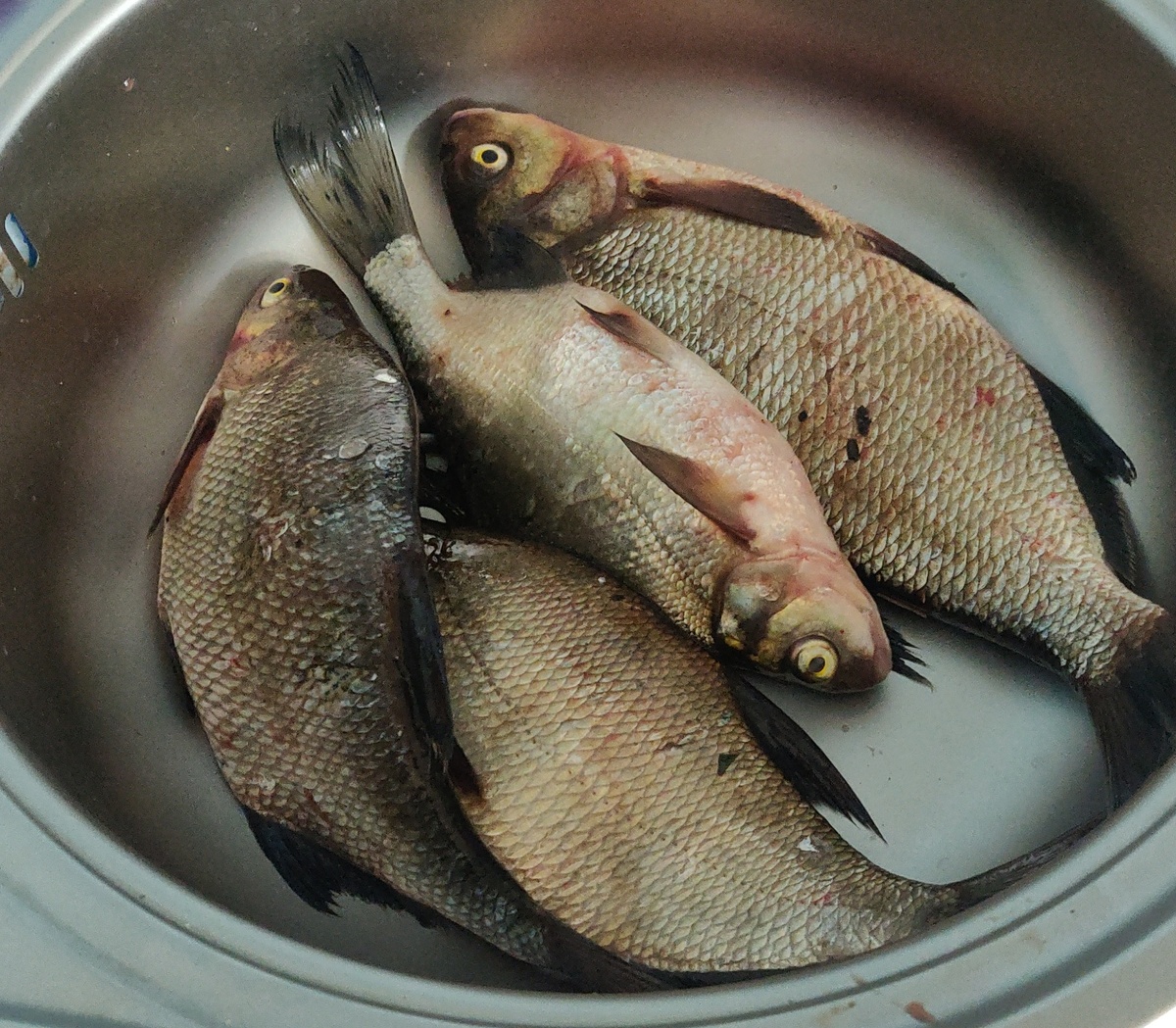 Первый улов)))