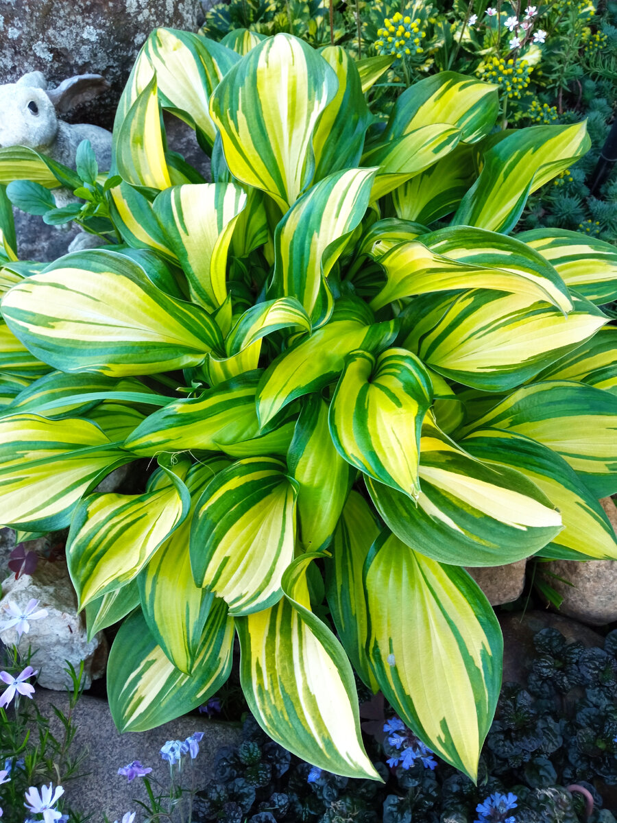 Фото никак не улучшено, не редактировано. 