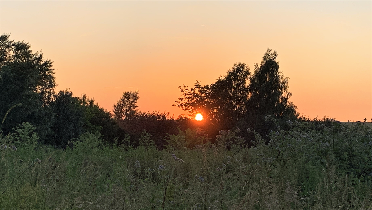                                                        Закат за полем (Фото автора).