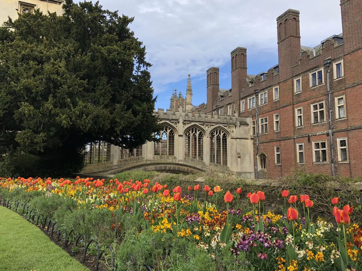 Interesting cambridge. Кембриджский университет в Англии. Университеты Англии Кембридж университет. Кристи колледж Кембридж. Кембридж город Англия.