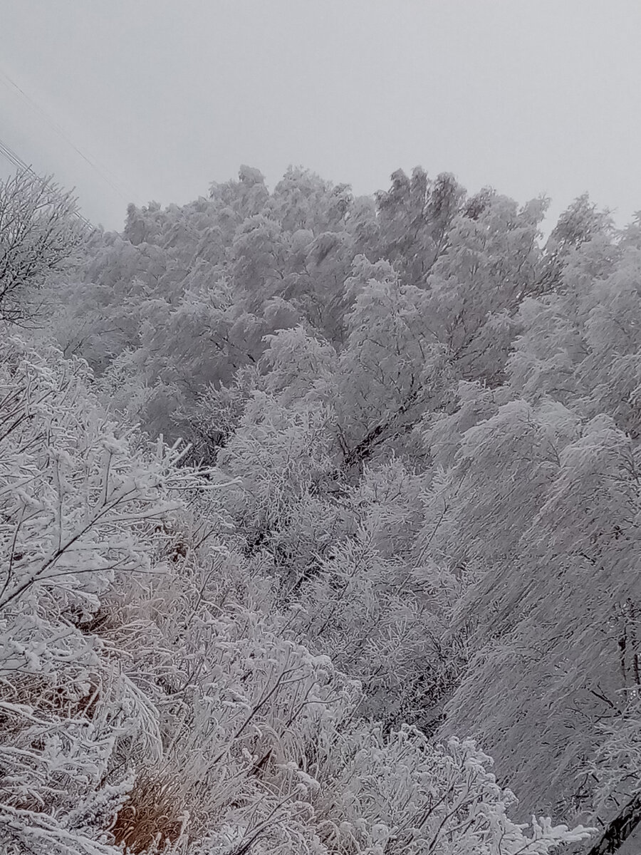 Хрустальной сказкой обернулася зима Сегодня солнечным морозным утром,
Дымами белыми нарядные дома дома,
Сигналы радостные шлют кому-то.

Порозовели щеки ребятни,
Спешащей по своим делам куда-то
И стайкой шумною,как эти снегири
На покрывале снежном кажутся ребята.

Морозным утром в солнечных лучах
Сияет всё ,как искры радуг ярких,
Блеск радости и в сердце и в очах -
Такие у зимы прекрасные подарки!
