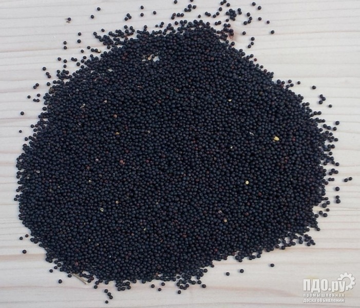 Черный рапс