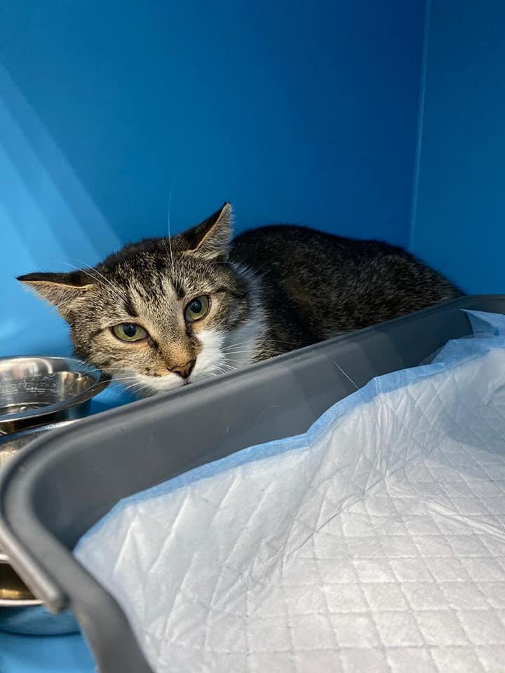 В Зооцентре Синса людей не жаловала