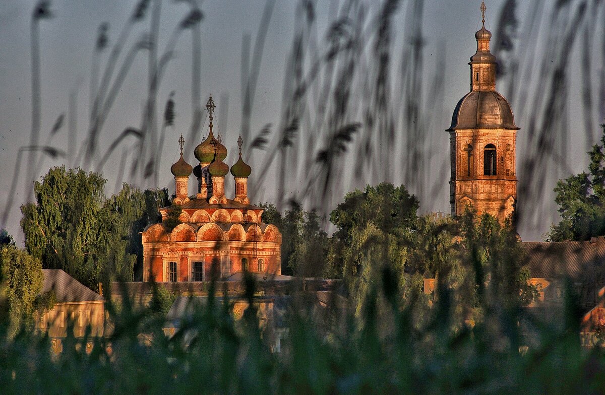 Ржев, тлен. | Удивительная жизнь | Дзен