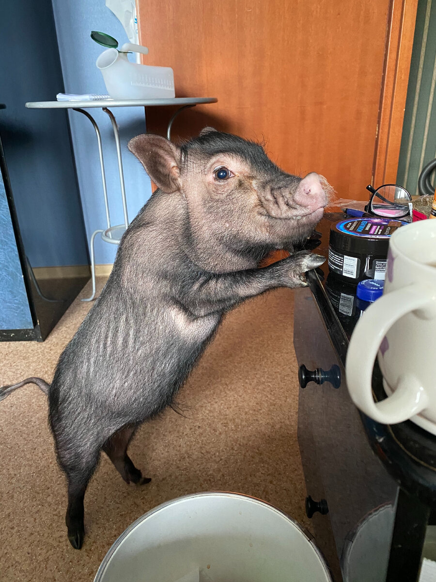 Ну как ему можно отказать?!