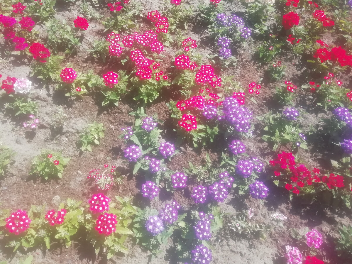 Желаю всем читателям хорошего летнего настроения