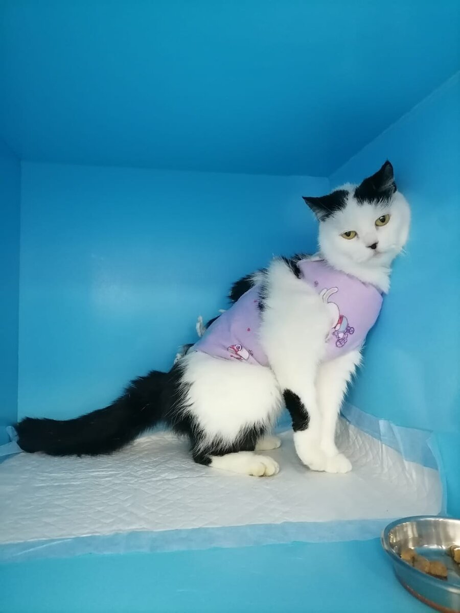 Бакса очень любит немного кокетничать