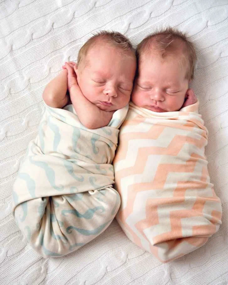 Фото из свободного доступа в интернете