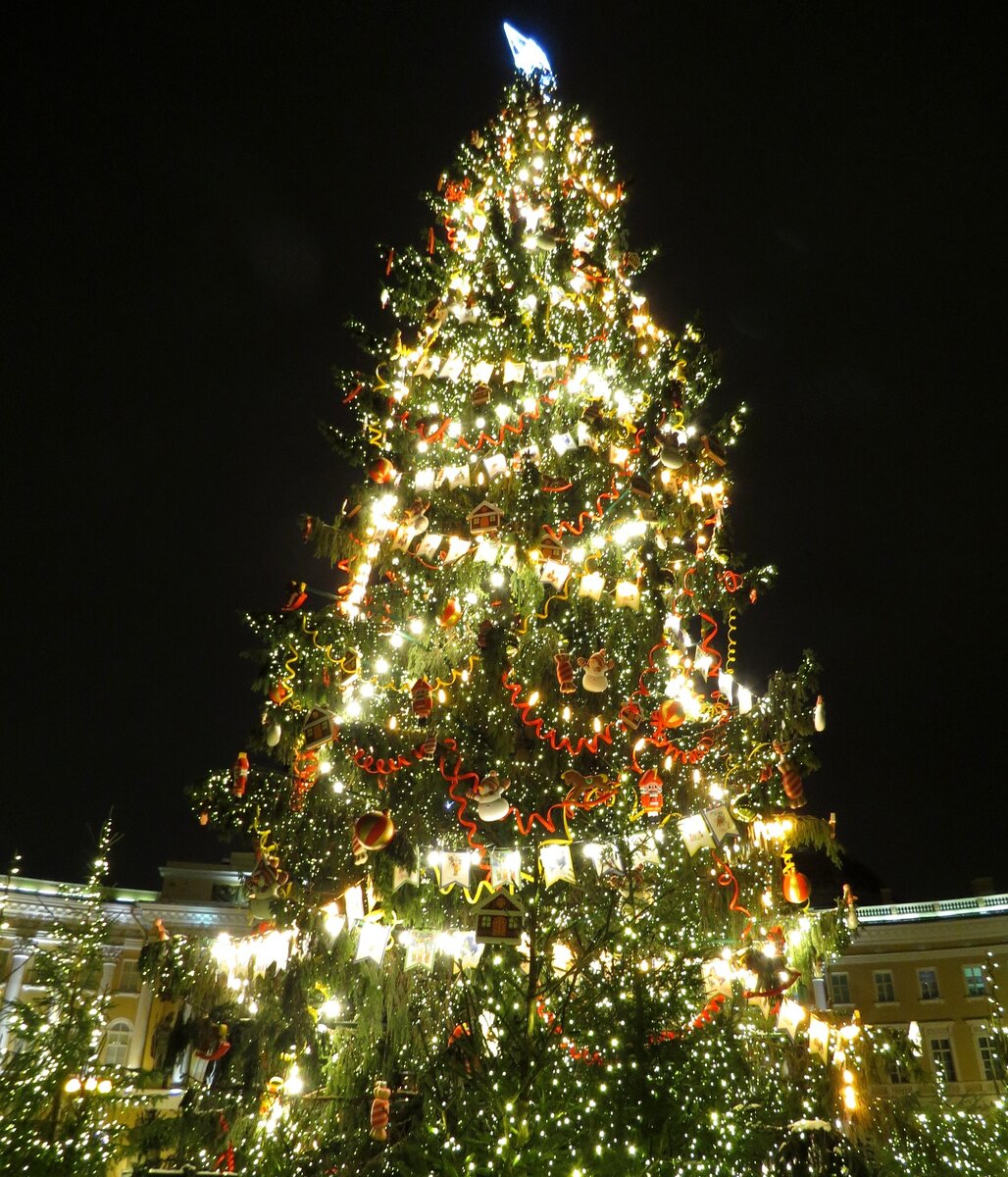 Главная ёлка нашего города
