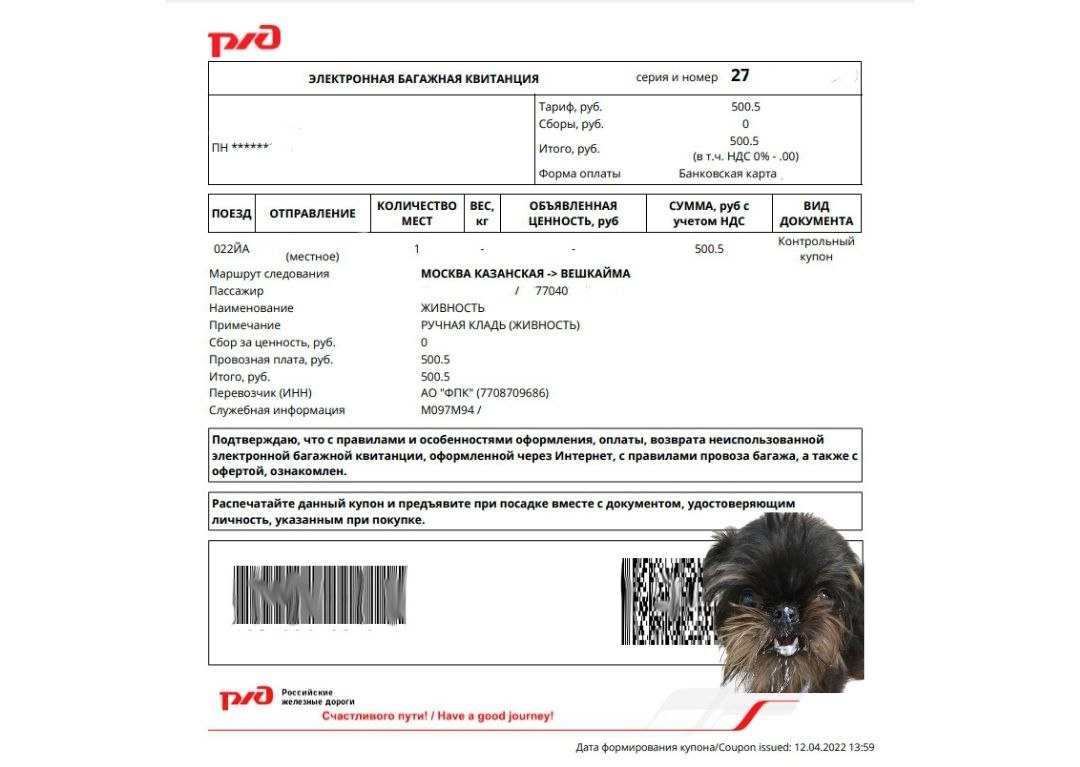 Билет Клёпы - мохнатой 🍀🌞🐕💩