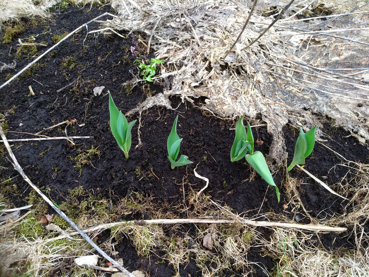 Мало, надо еще. 