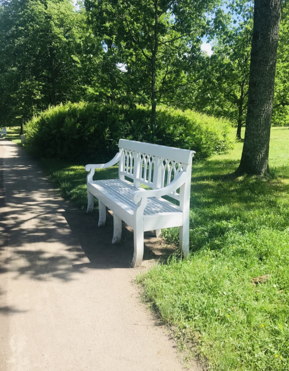 Парк Александрия в Петергофе. Невероятная красота ❤️ Как добраться, что  посмотреть, цена билетов. Как попасть в Парк бесплатно ➡ | Все о доме и  красоте ❤️ | Дзен