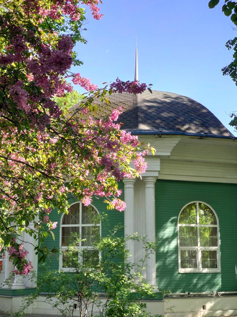 Розовые яблони Недзвецкого в Екатерининском парке