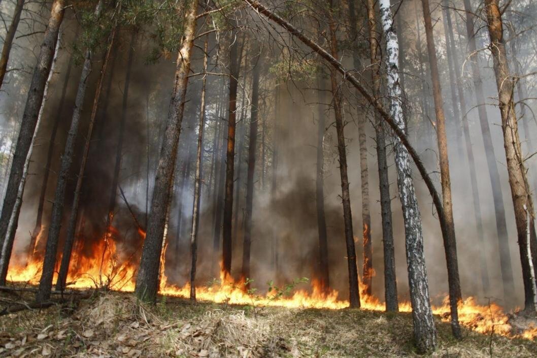 фото: Сергей Елесин, ИА "Тюменская линия"