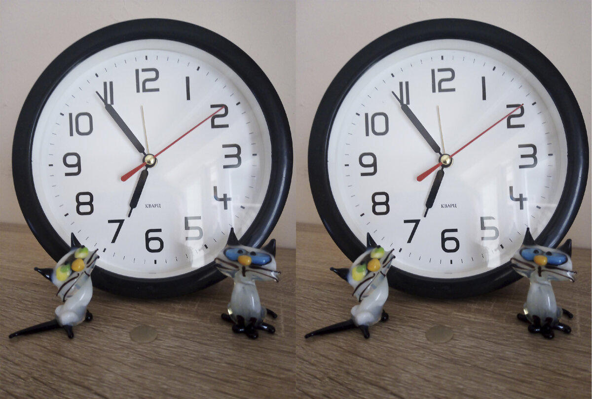 Найдите на картинке три отличия.У вас получится!