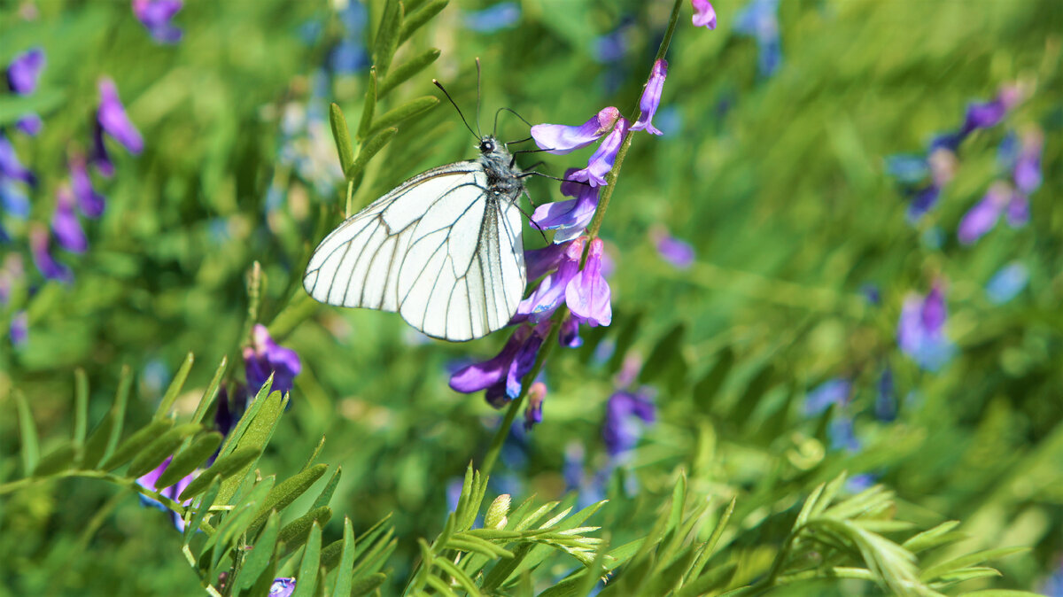 Что увидишь, оглянувшись назад? Фото автора. 