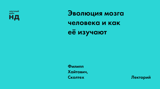 Эволюция мозга человека и как её изучают