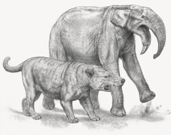 Позвольте взять вас под ручку?