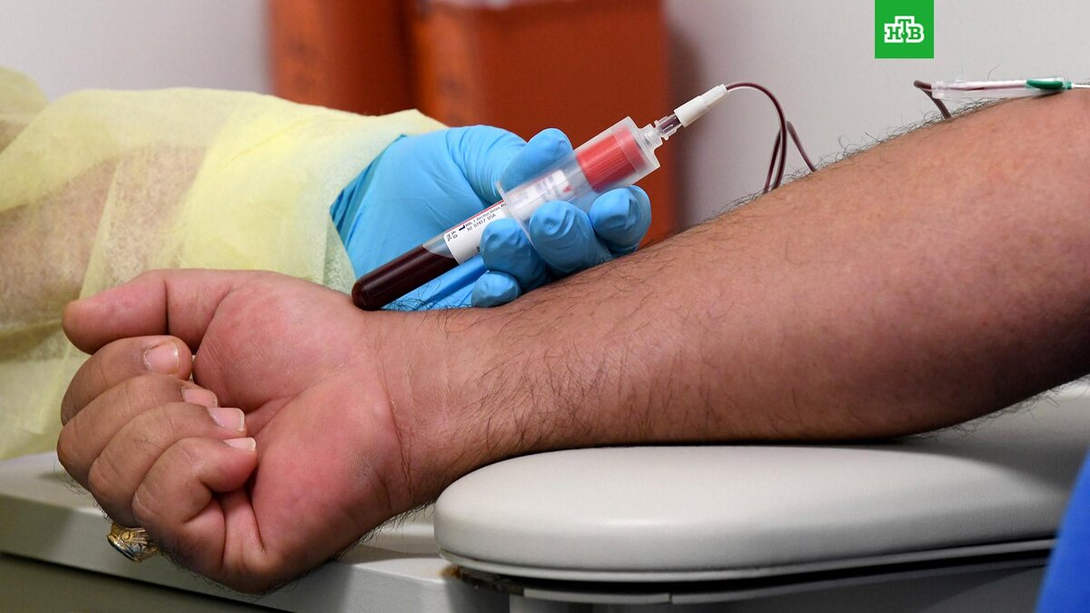    Фото: Associated Press © 2022, Taimy Alvarez