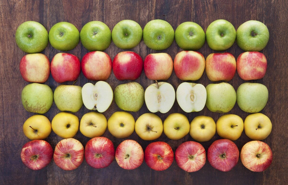 Сроки сбора яблок. Методики определения созревания плодов | UniferX | Питание растений | Дзен