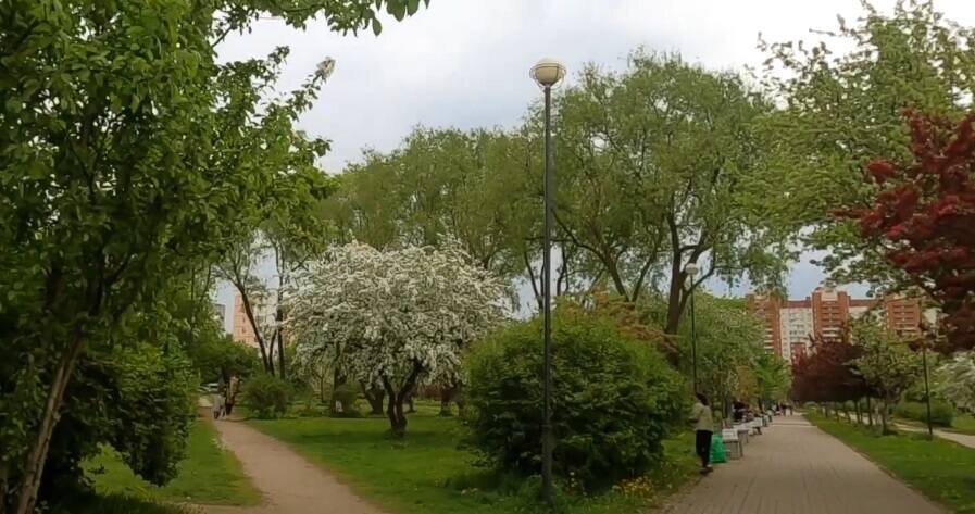    Фото: Спорт День за Днем