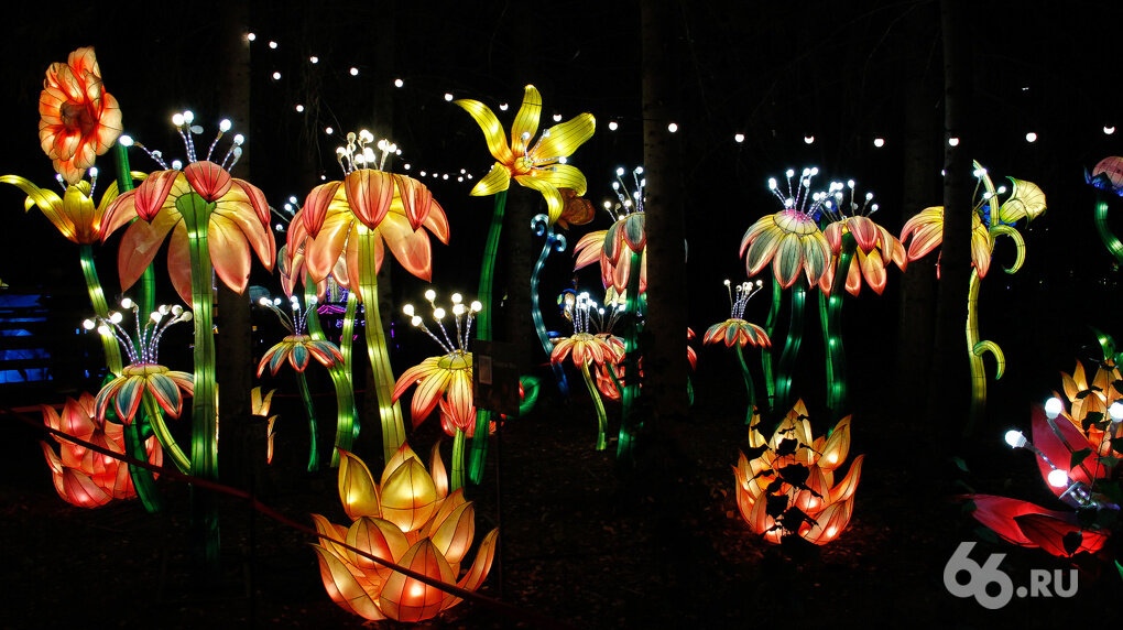 Фото: Сергей Логинов для 66.RU