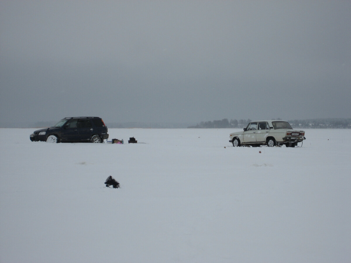 Моложский плёс.