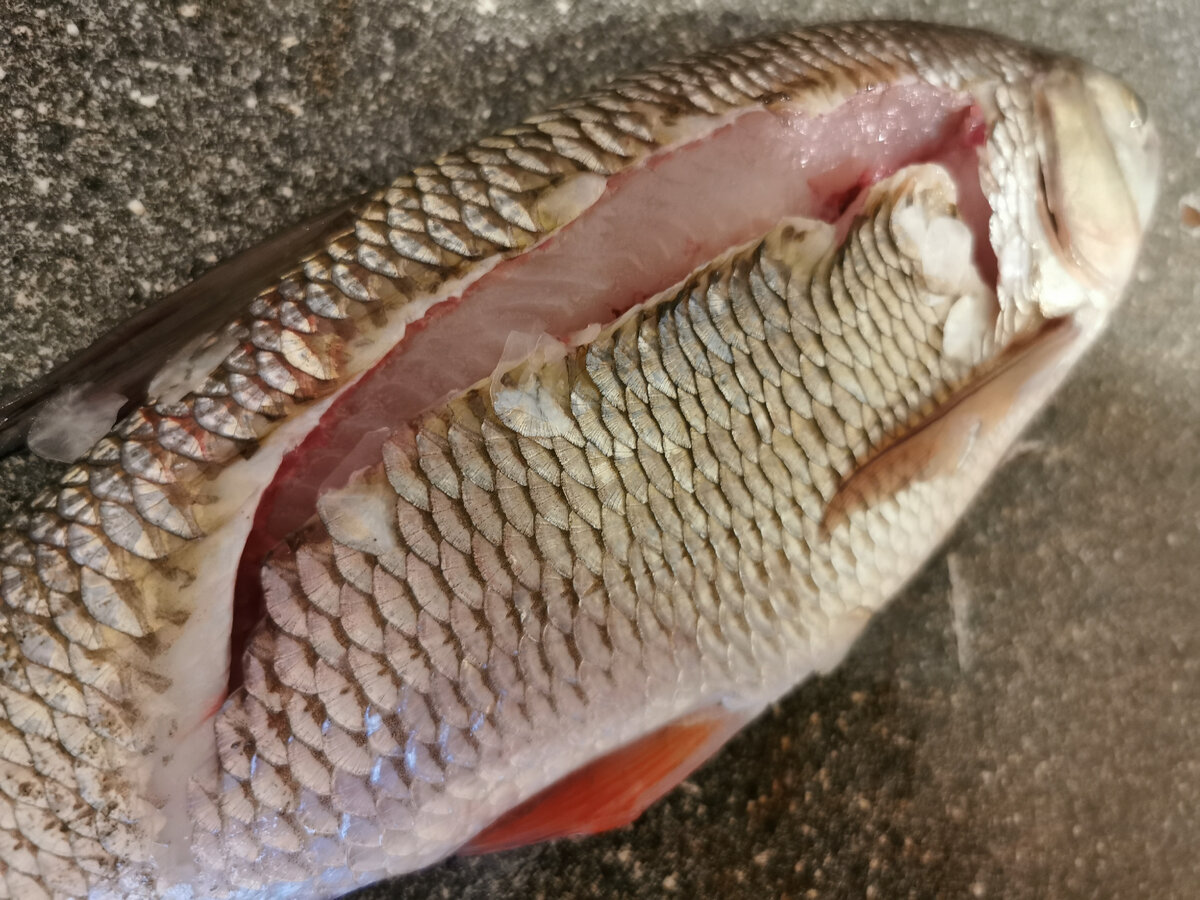 Фото: "Лодочник"