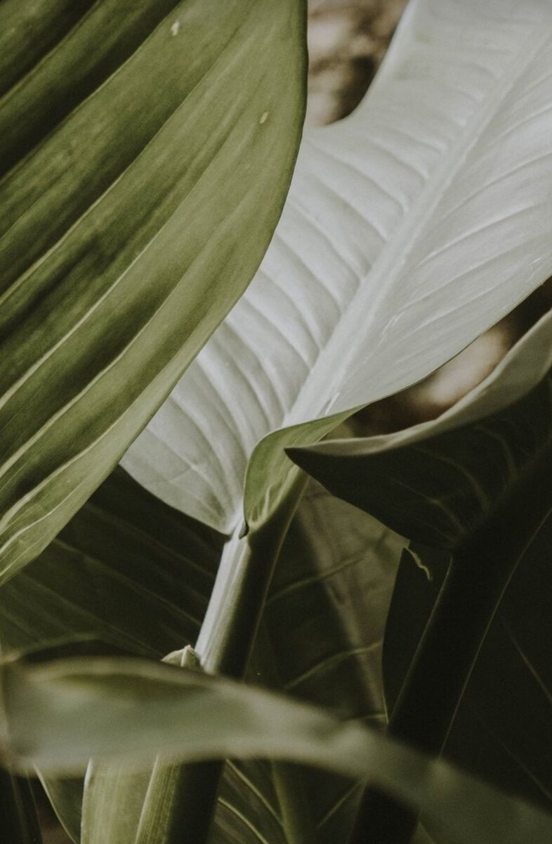 Источник фото Pinterest.com 