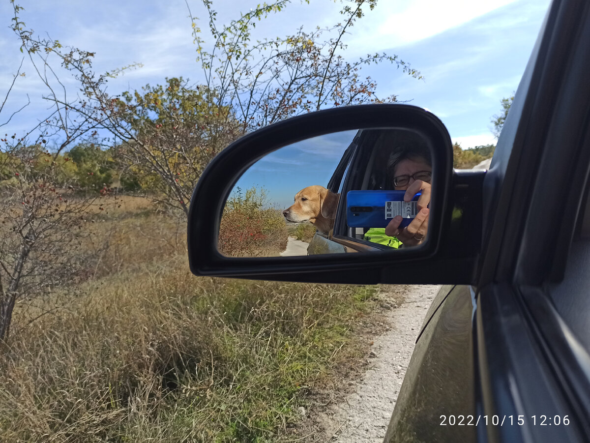 Едем. Ляля помнит эти места с прошлого года.