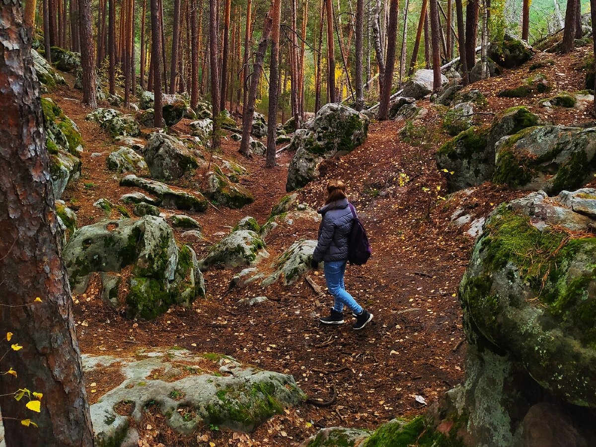 Рачейский бор, фото из личного архива