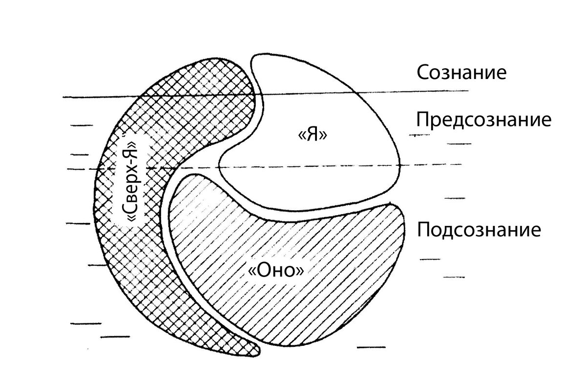На рисунке, современное представление психики человека. Из открытых источников.