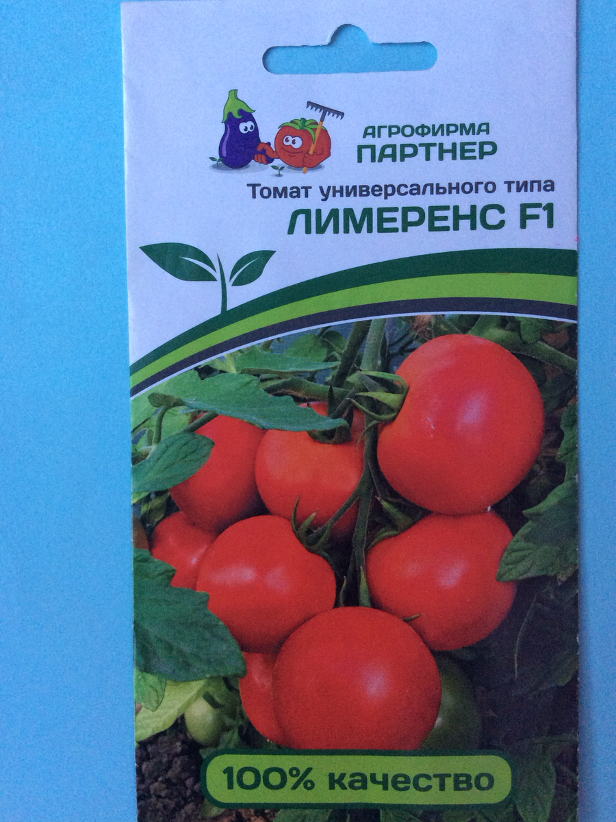 Какие гибриды томатов выращивала в сезоне 2022
