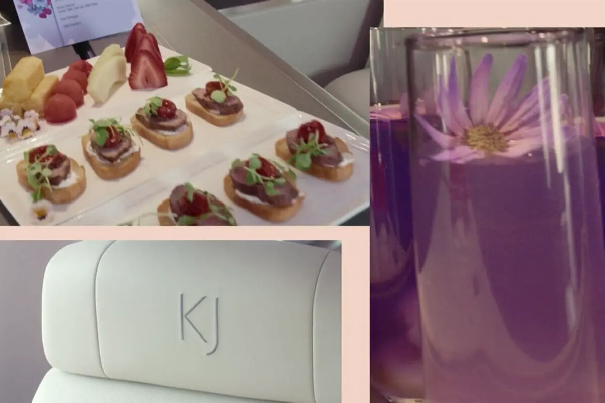    Позиции из меню, которые можно заказать на частном самолете Kylie Air