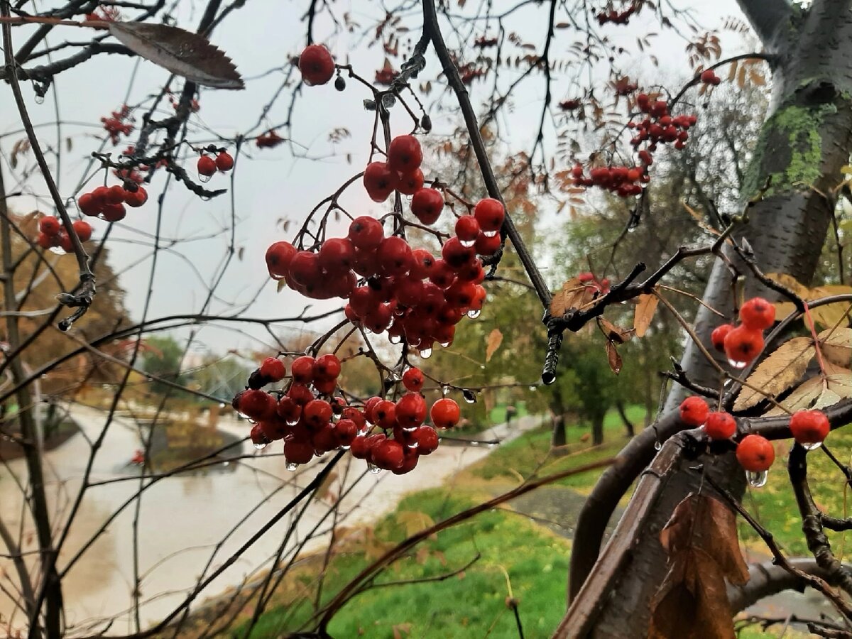 Рязань, октябрь 2022 