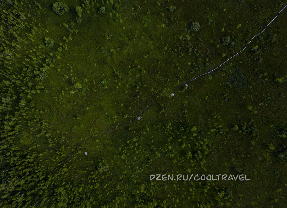 Дмитрий Кандинский