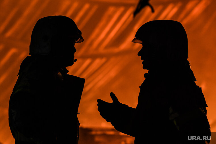    Причиной пожара послужил выстрел из охотничьей ракетницы (архивное фото)