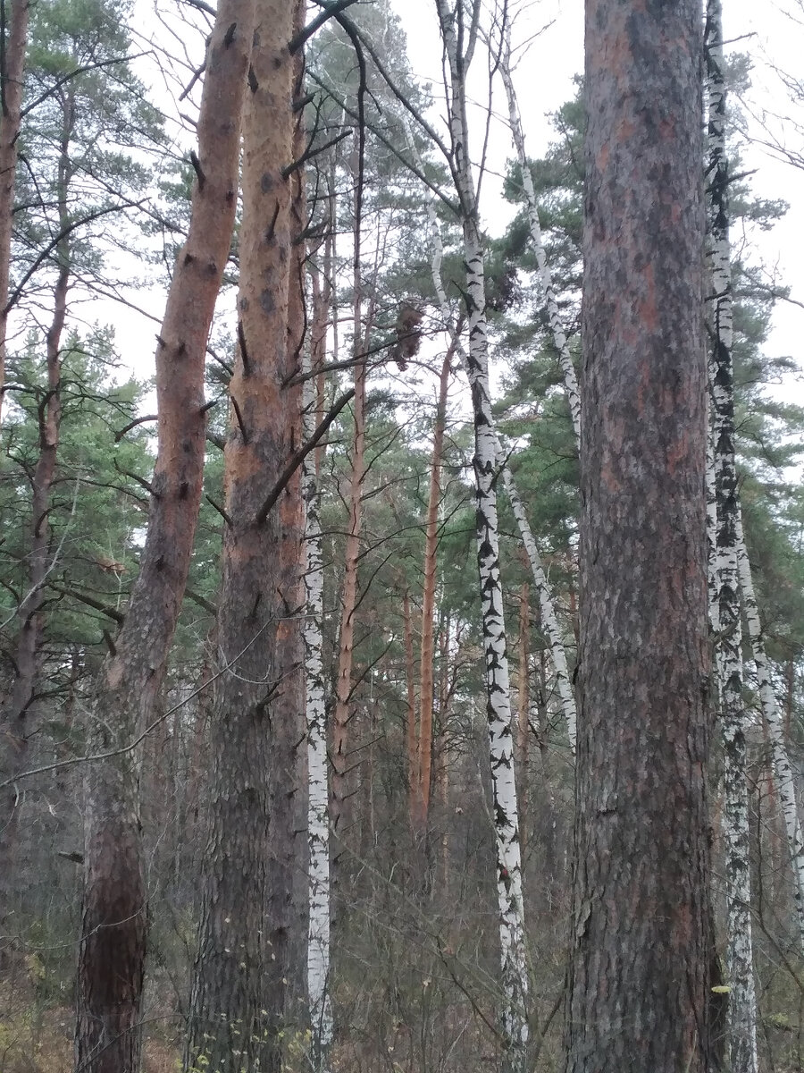 Личное фото. 
