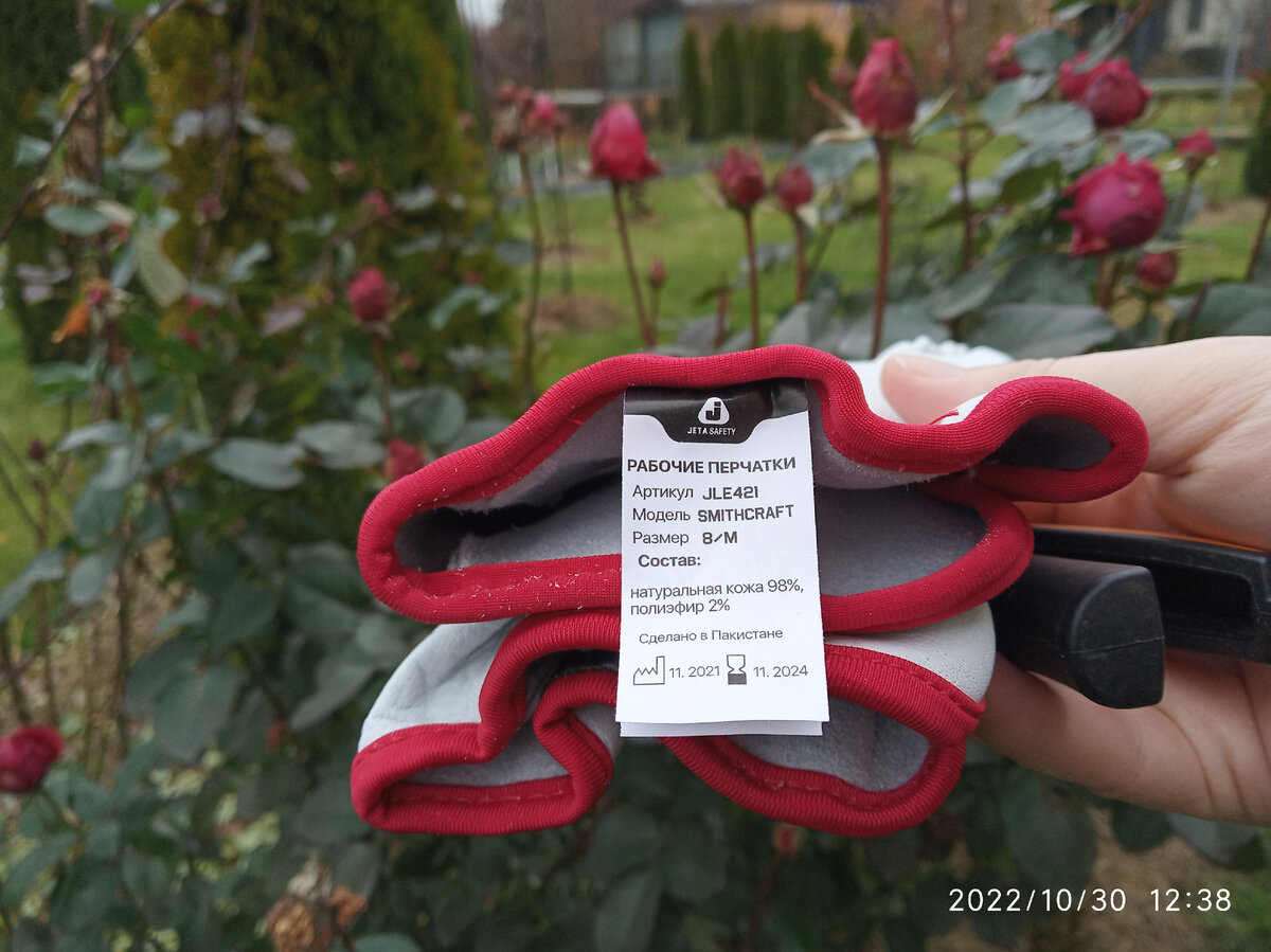 Как защитить руки от розовых шипов