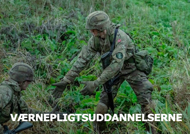 https://karriere.forsvaret.dk/varnepligt/varnepligten/