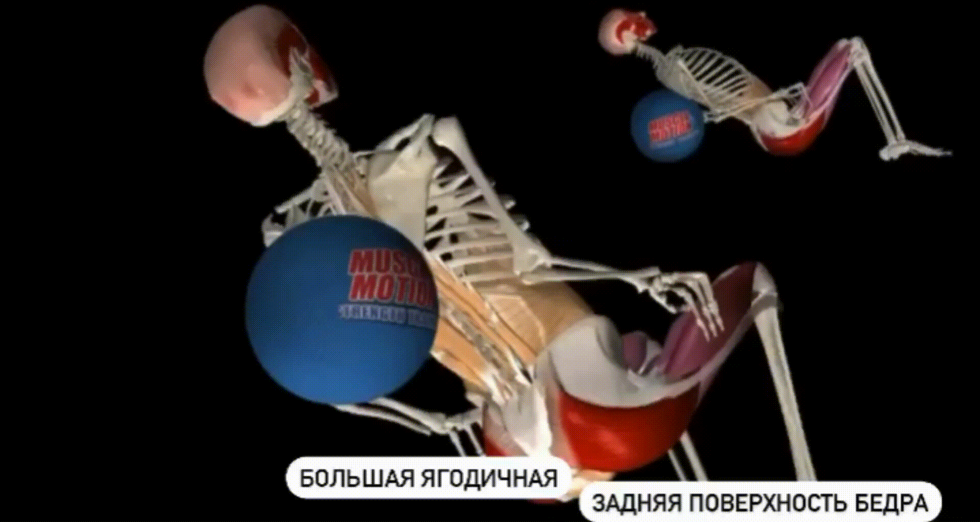Ягодичный мостик