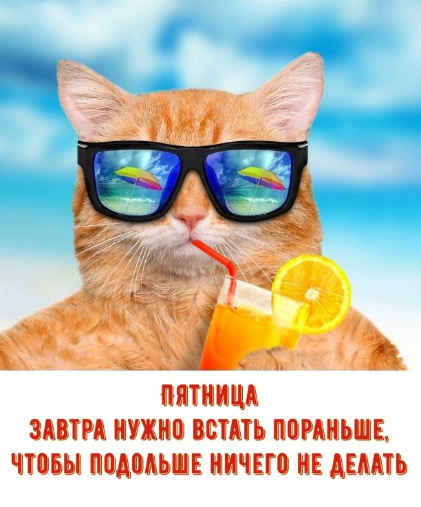 Фото с сайта https://privetpeople.ru/