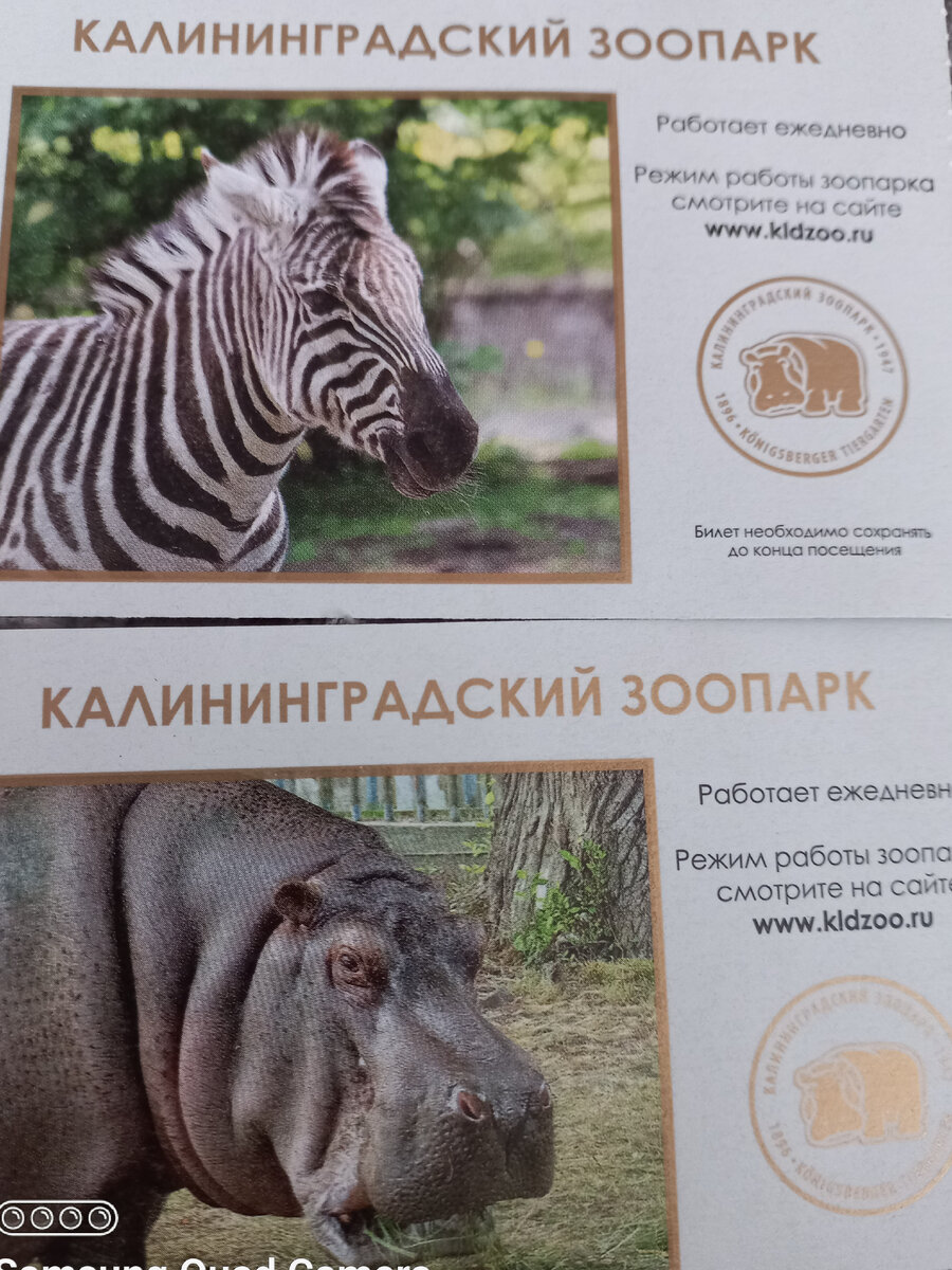 билеты в зоопарк