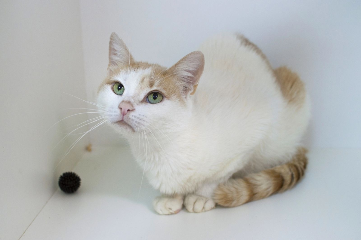 И я хочу рассказать вам историю своей жизни 