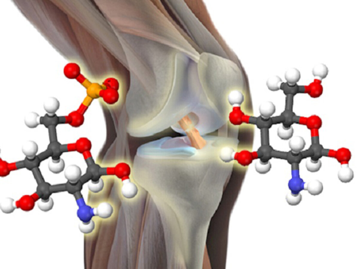 Эффект хондропротекторов. Механизм действия хондропротекторов. Хондропротектор суставы связки. Хондропротекторы фото. Механизм действия глюкозамина.